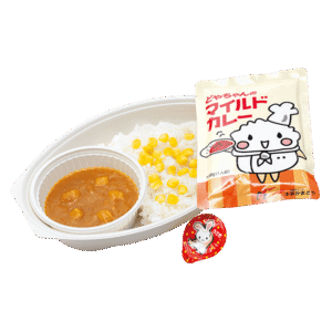 どやちゃんカレー